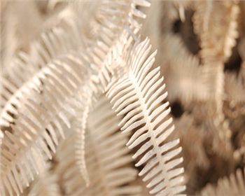 空氣改善需要靠污染源才能進(jìn)行轉(zhuǎn)移，這個(gè)真不能這樣下結(jié)論